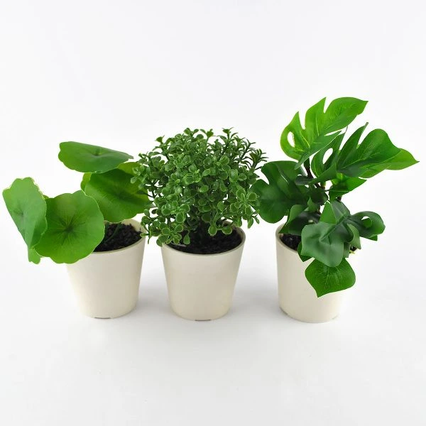 Veštačko cveće u saksiji - Set