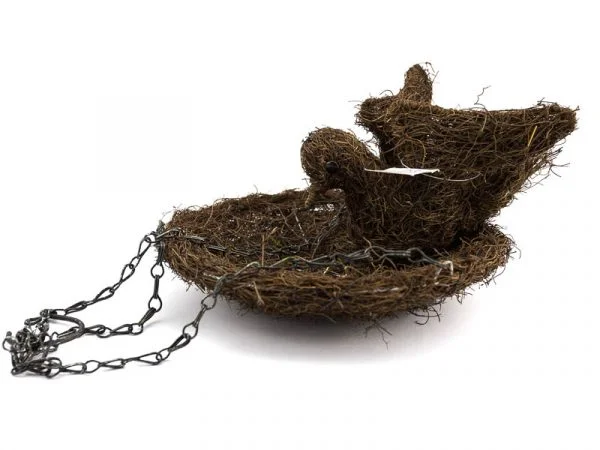 MG_2320-600x450 Hranilica za ptice