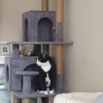 Penjalica i grebalica za mačke - L photo review