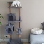 Penjalica i grebalica za mačke - L photo review